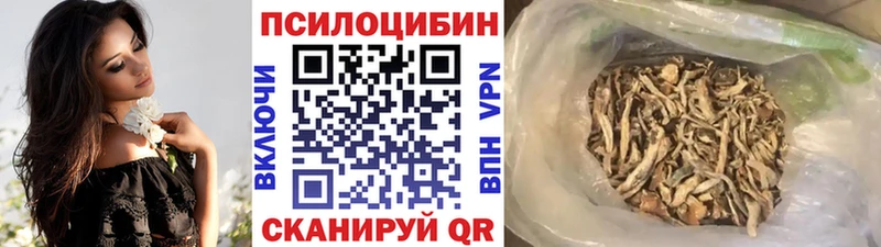 Купить где  Миасс  Галлюциногенные грибы Psilocybine cubensis 